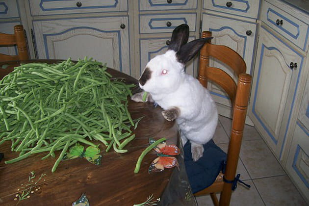 Une publicité bien connue