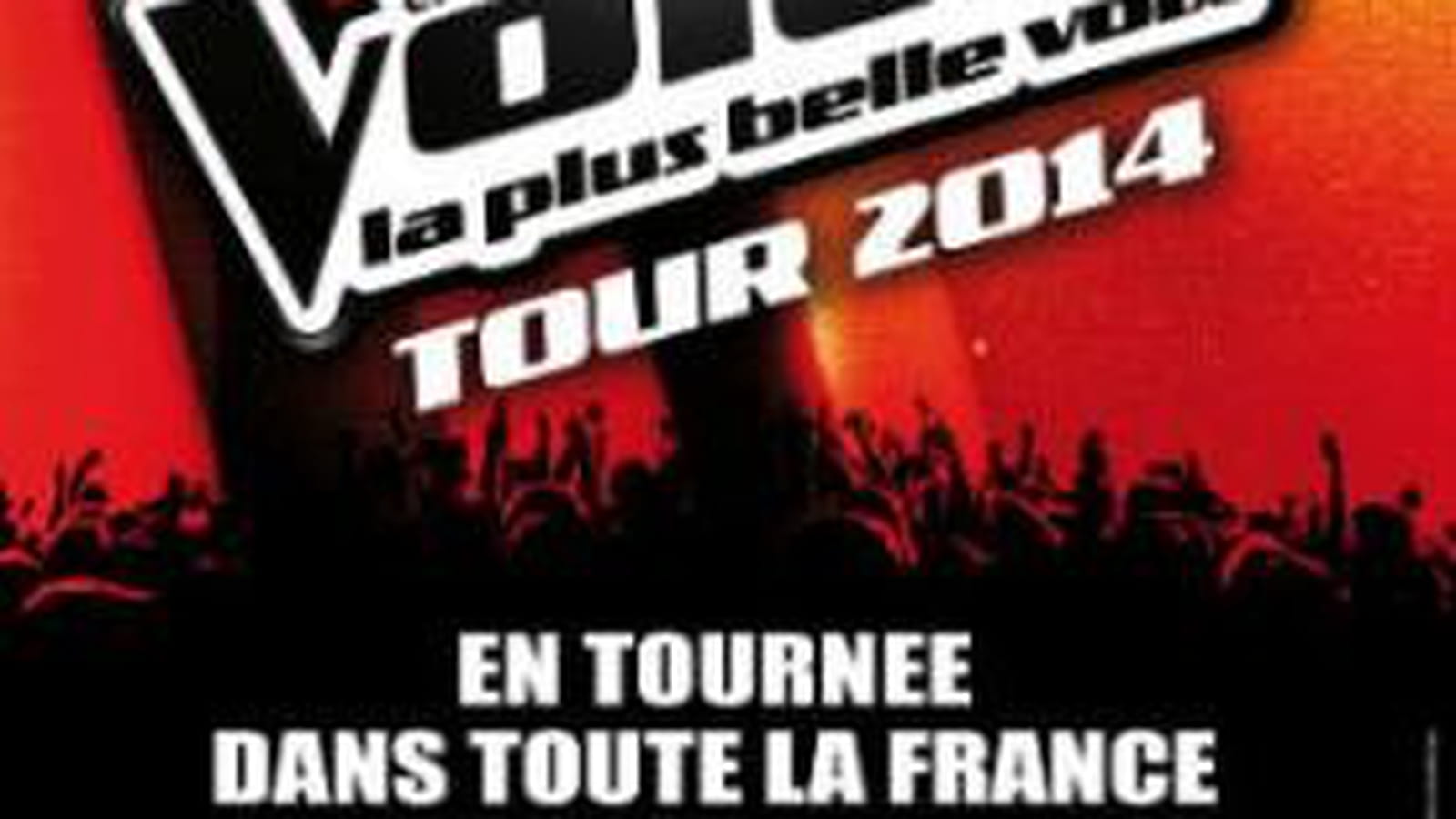 The Voice Tour 