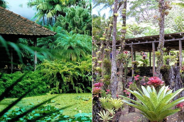 Jardin de Balata, Martinique