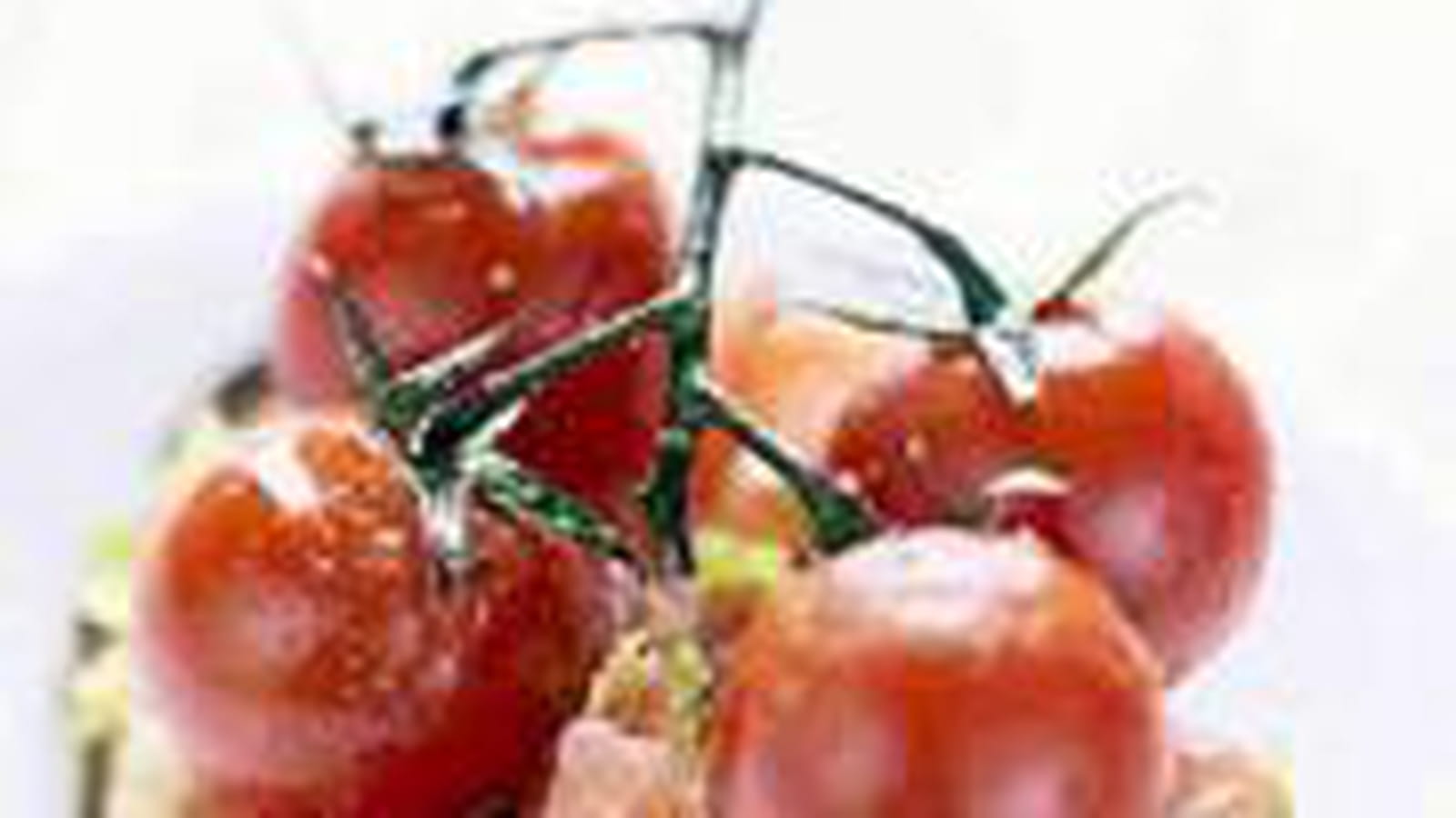 Crostini aux deux tomates