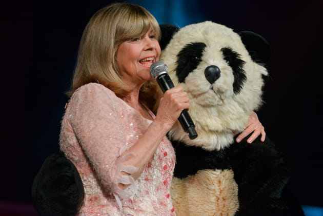 Avec Pandi-Panda, en 2015