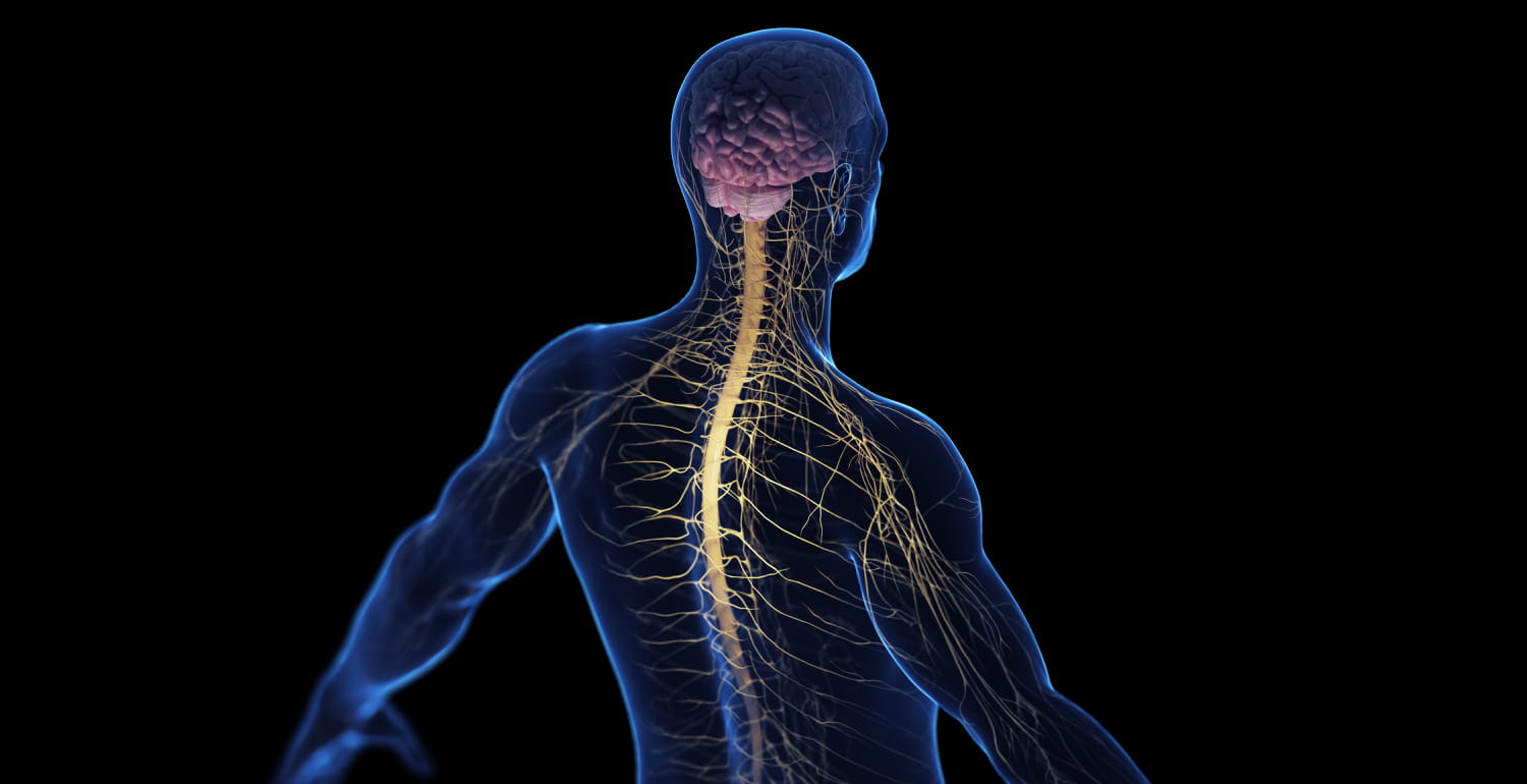 Comment Arrive La Maladie De Charcot Maladie de Charcot (SLA) : premiers signes, causes