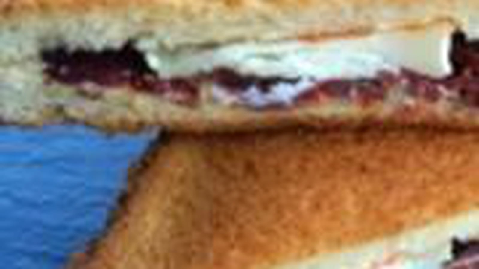 Croque-monsieur magret
