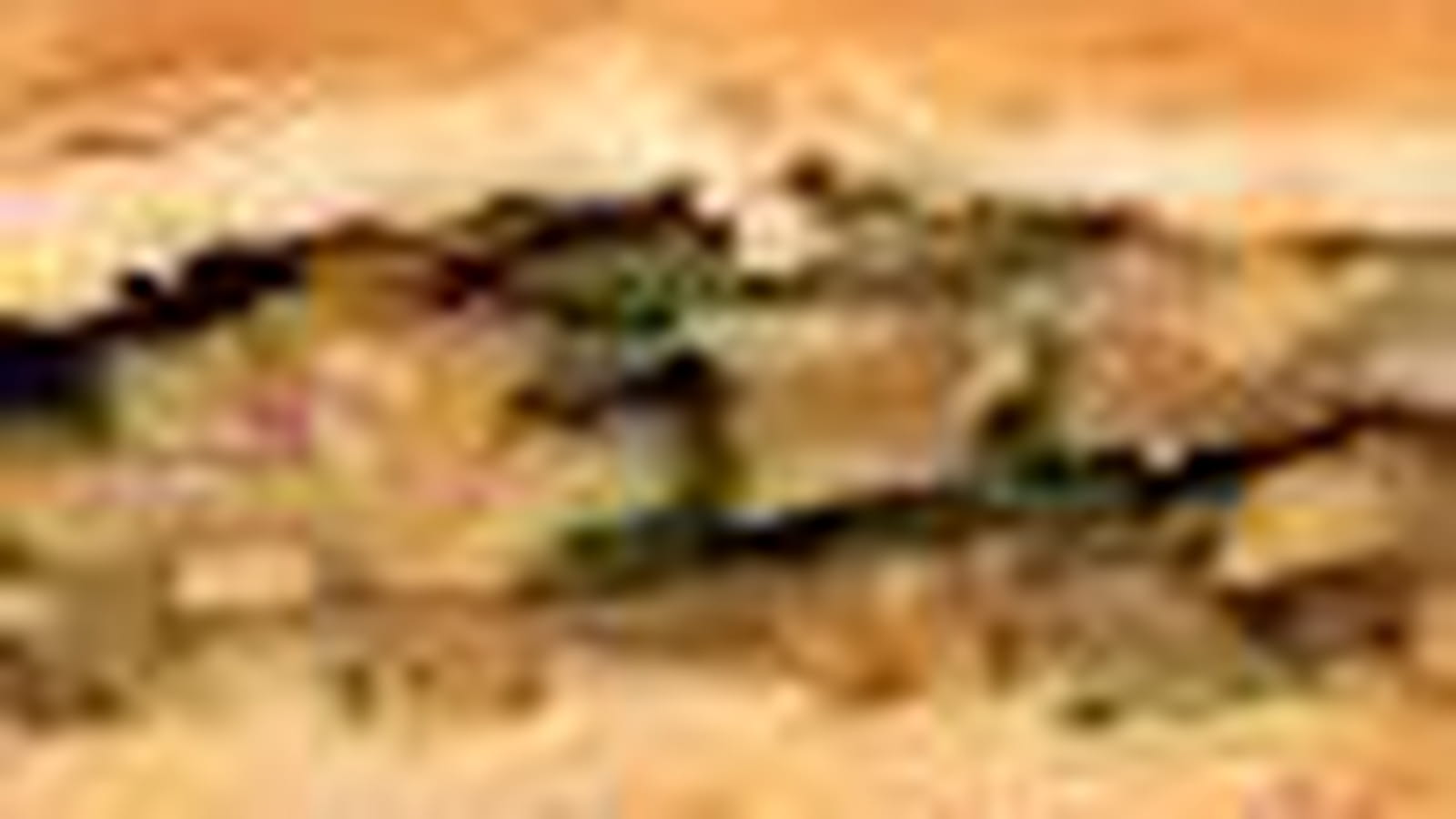 Tourte aux courgettes