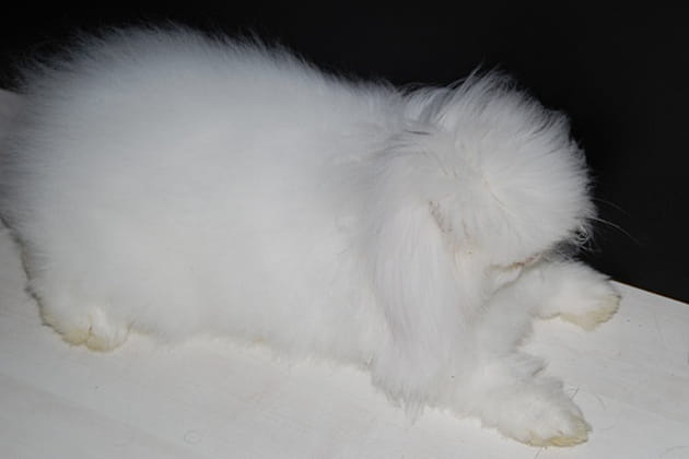 Se cacher derri&egrave;re ses cheveux