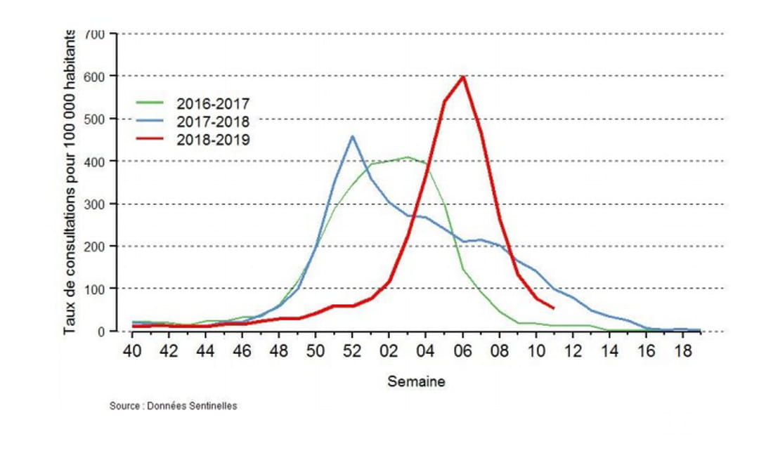 Grippe symptôme, durée, épidémie 2019