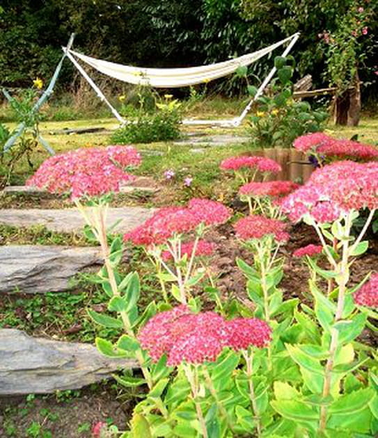 Une pause dans le hamac