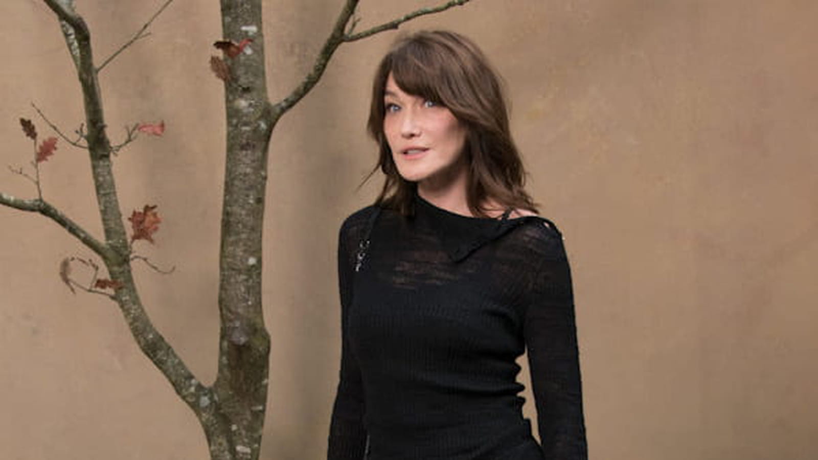 Carla Bruni le 5 mars 2018