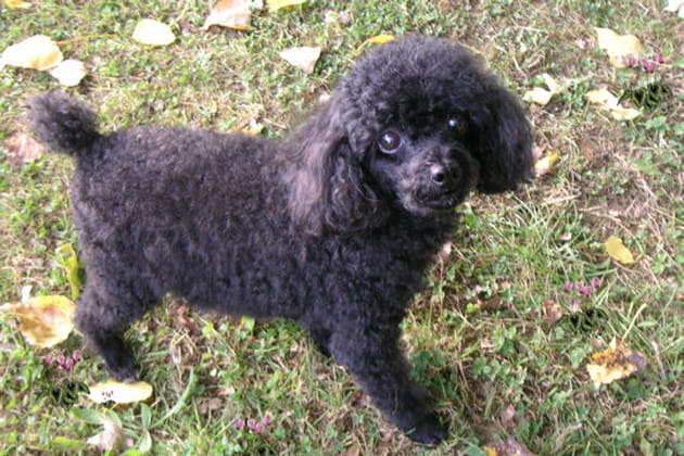 Laly, trop craquante