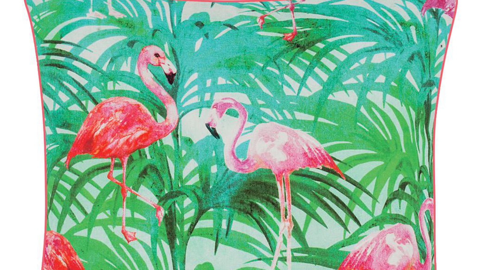 Flamants roses