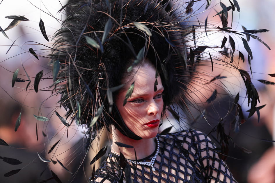 Coco Rocha et sa coiffure &agrave; plumes