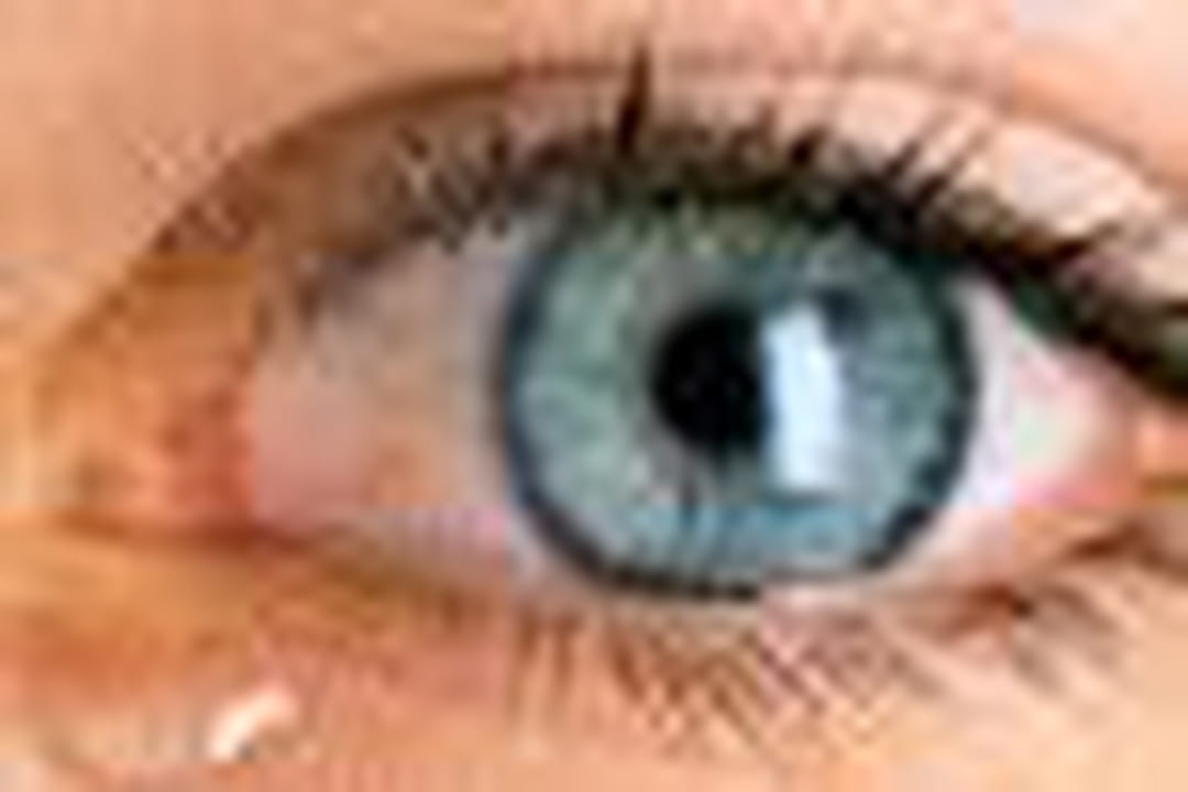 Pourquoi des yeux