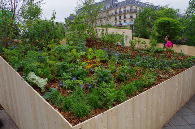 Jardin La lisière thérapeutique