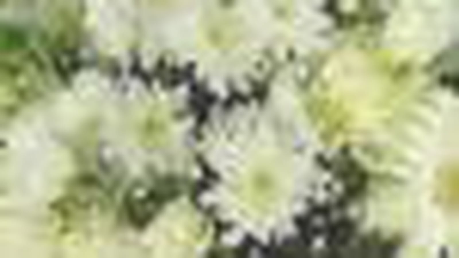 Bouquet blanc