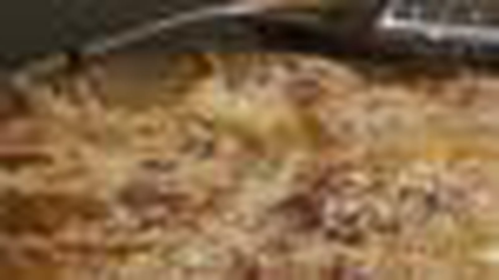 Gratin de pâtes au jambon
