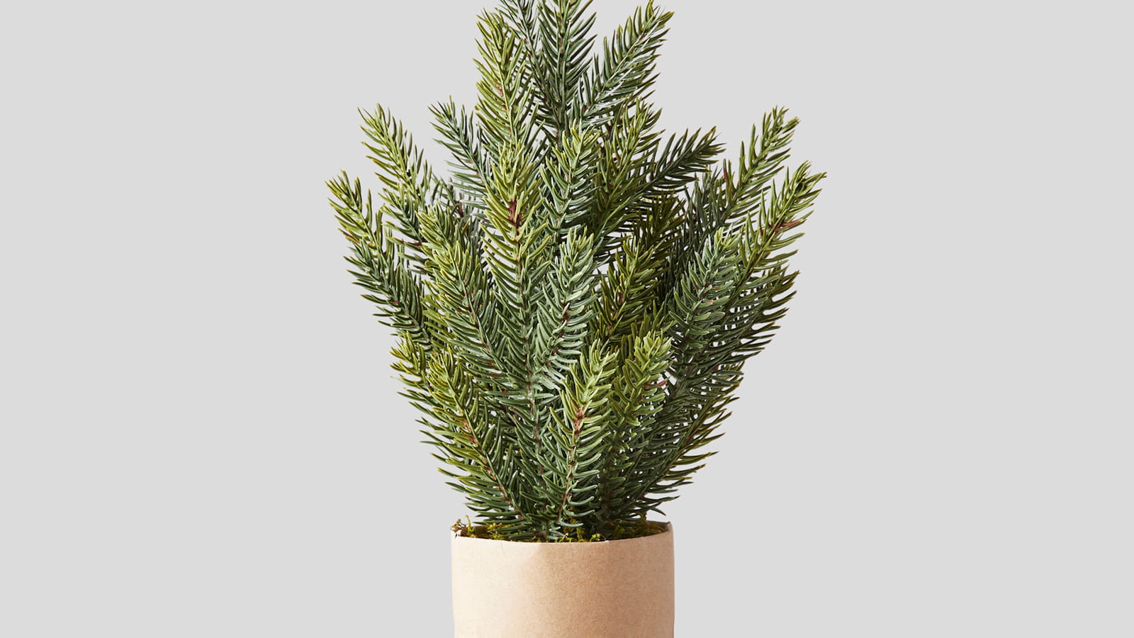 Mini sapin centre de table