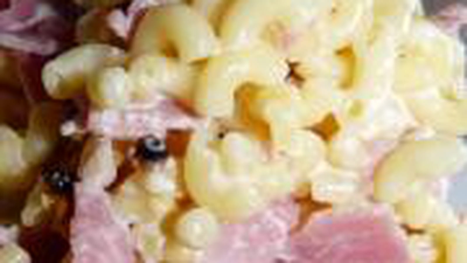 Gratin lait et jambon