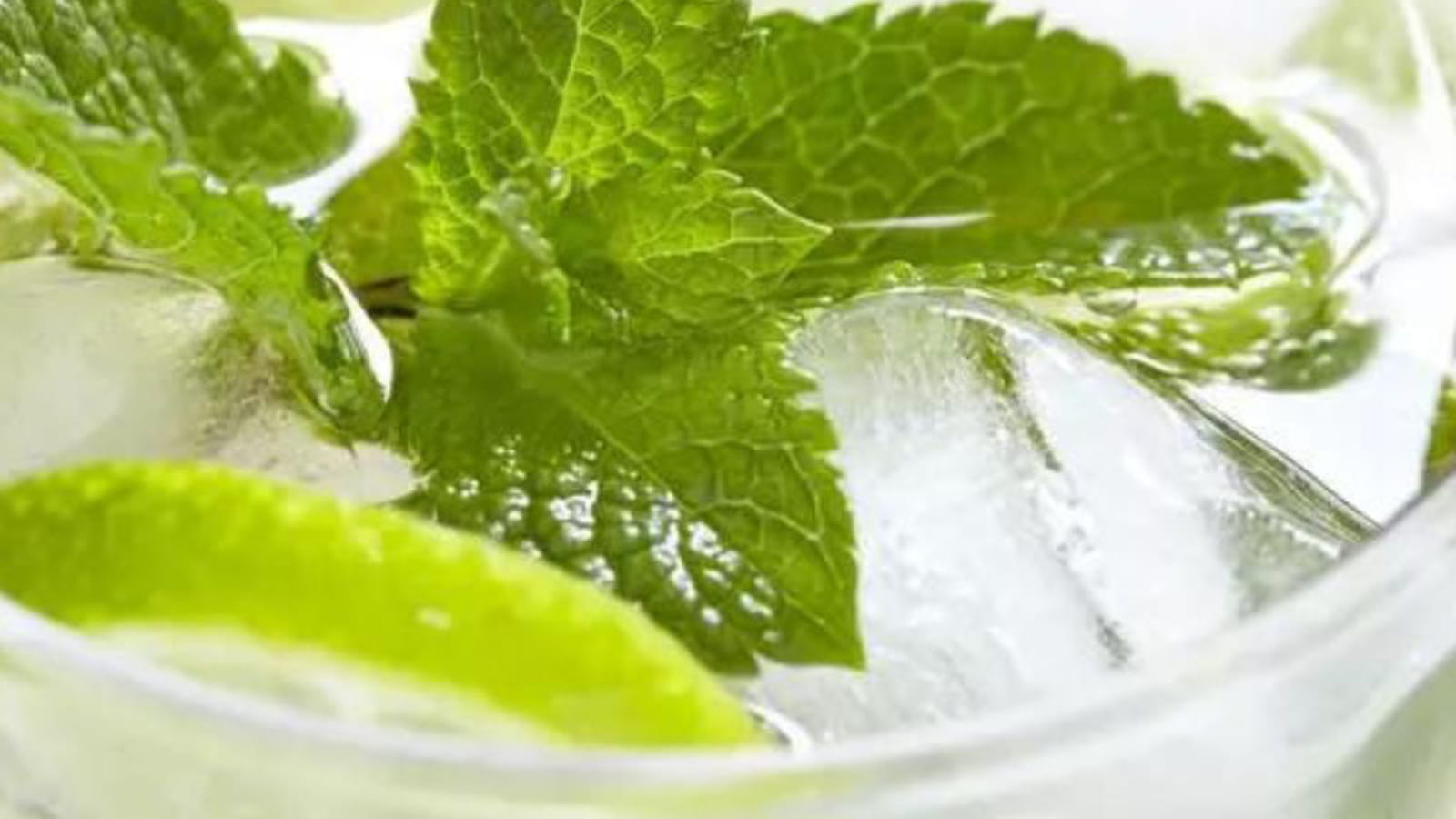 Mojito au Thermomix
