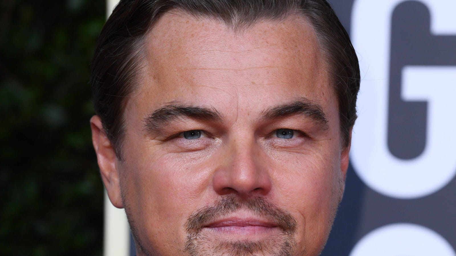 Leonardo DiCaprio