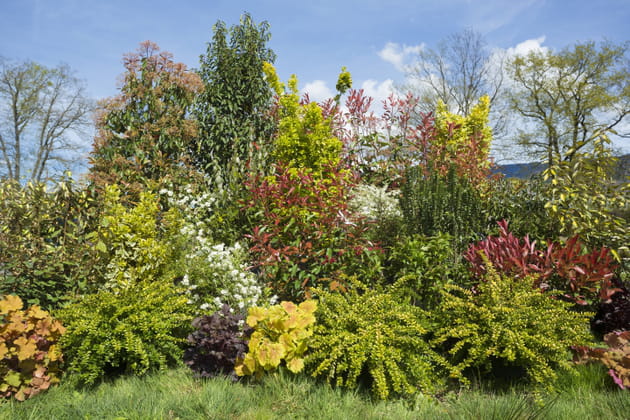 Créer un dégradé de hauteurs...