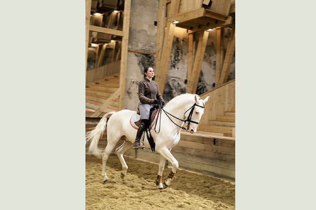 La responsabilité des écuyers