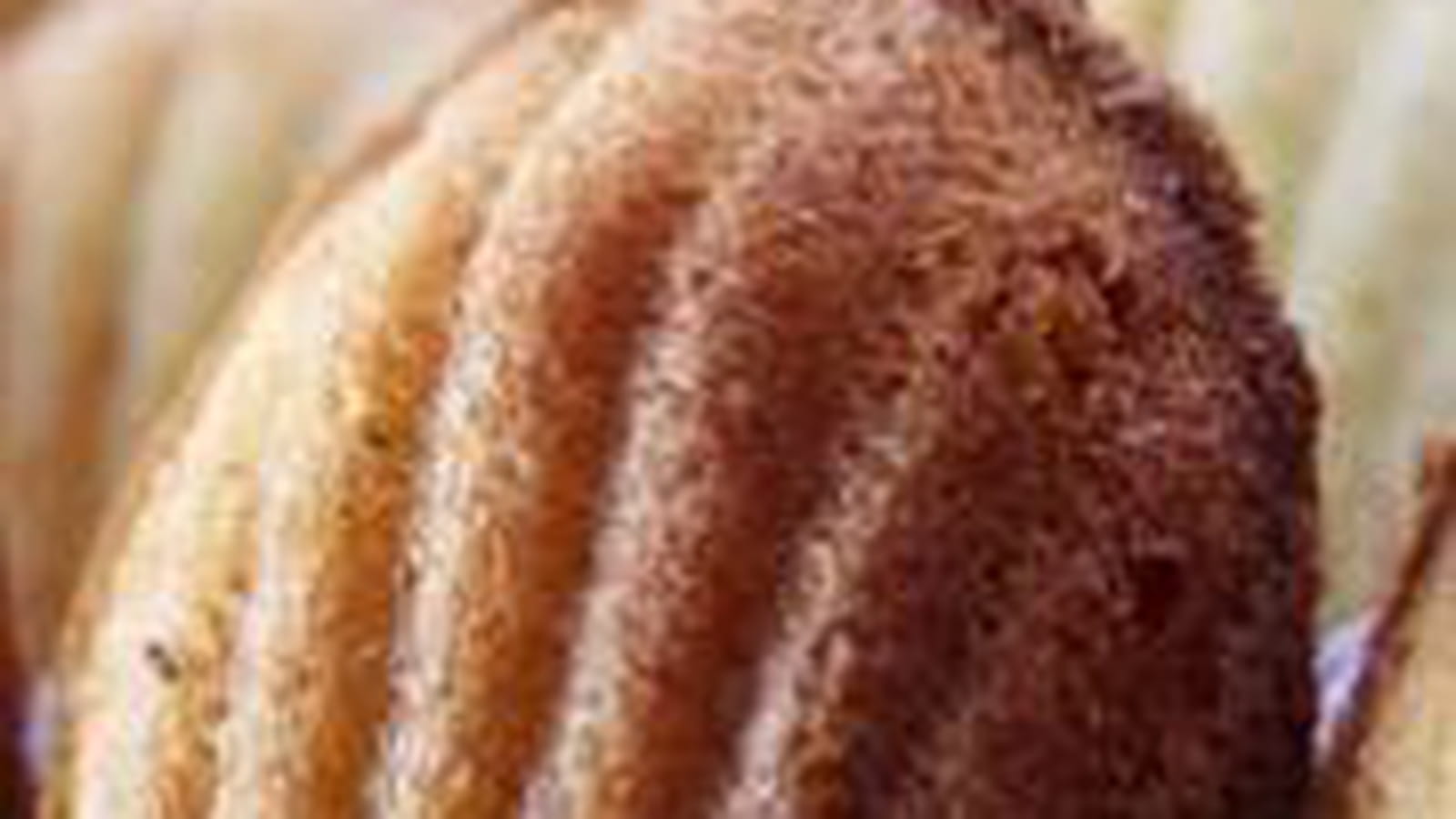 Les madeleines de mon enfance
