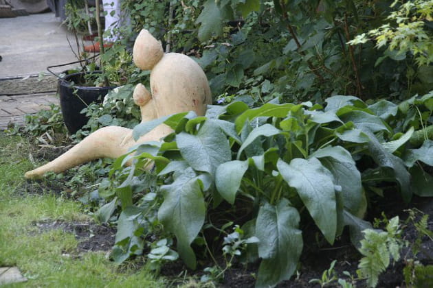 Un jardin très accueillant
