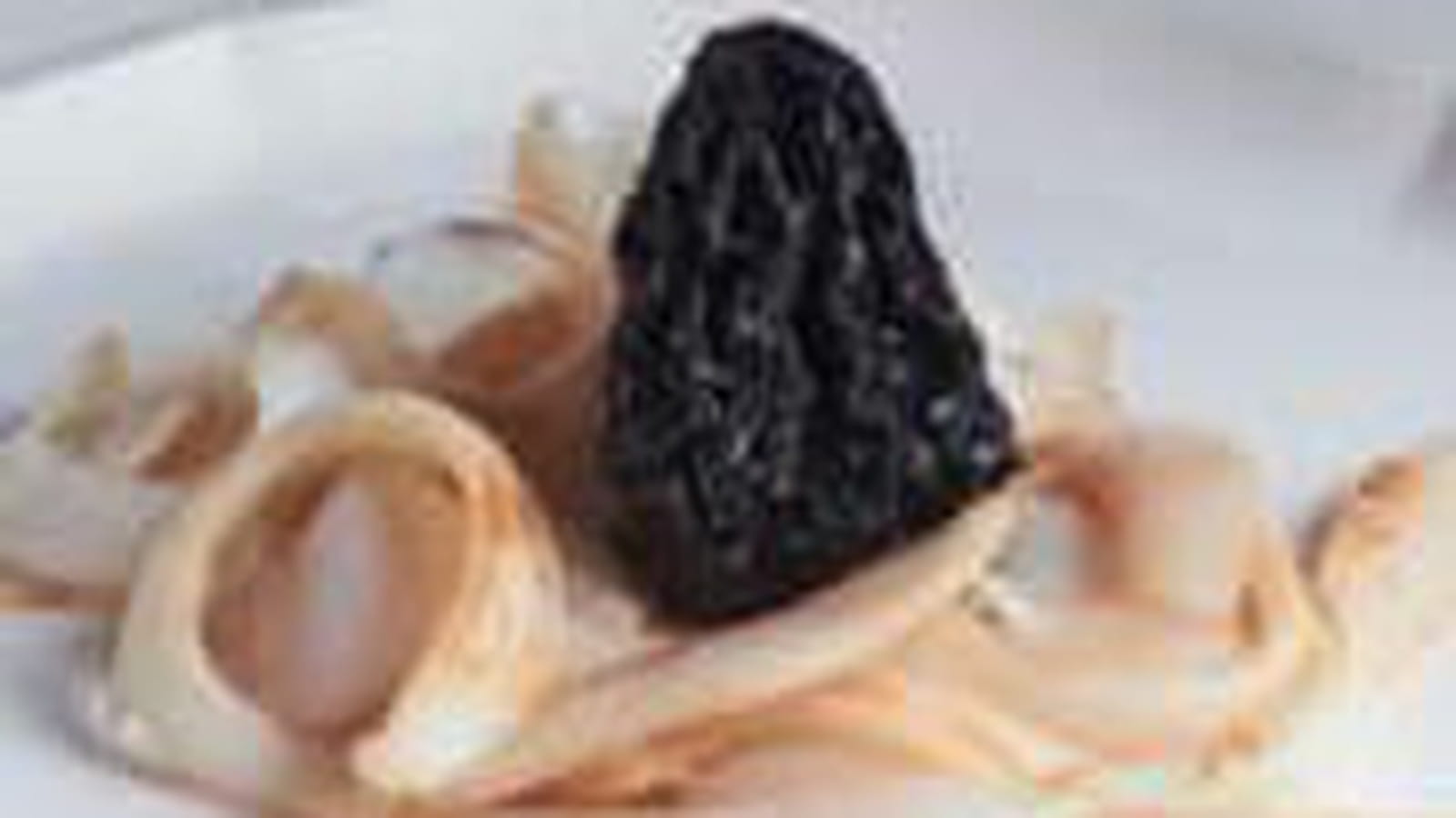 Tagliatelle de seiche aux morilles et encre de seiche