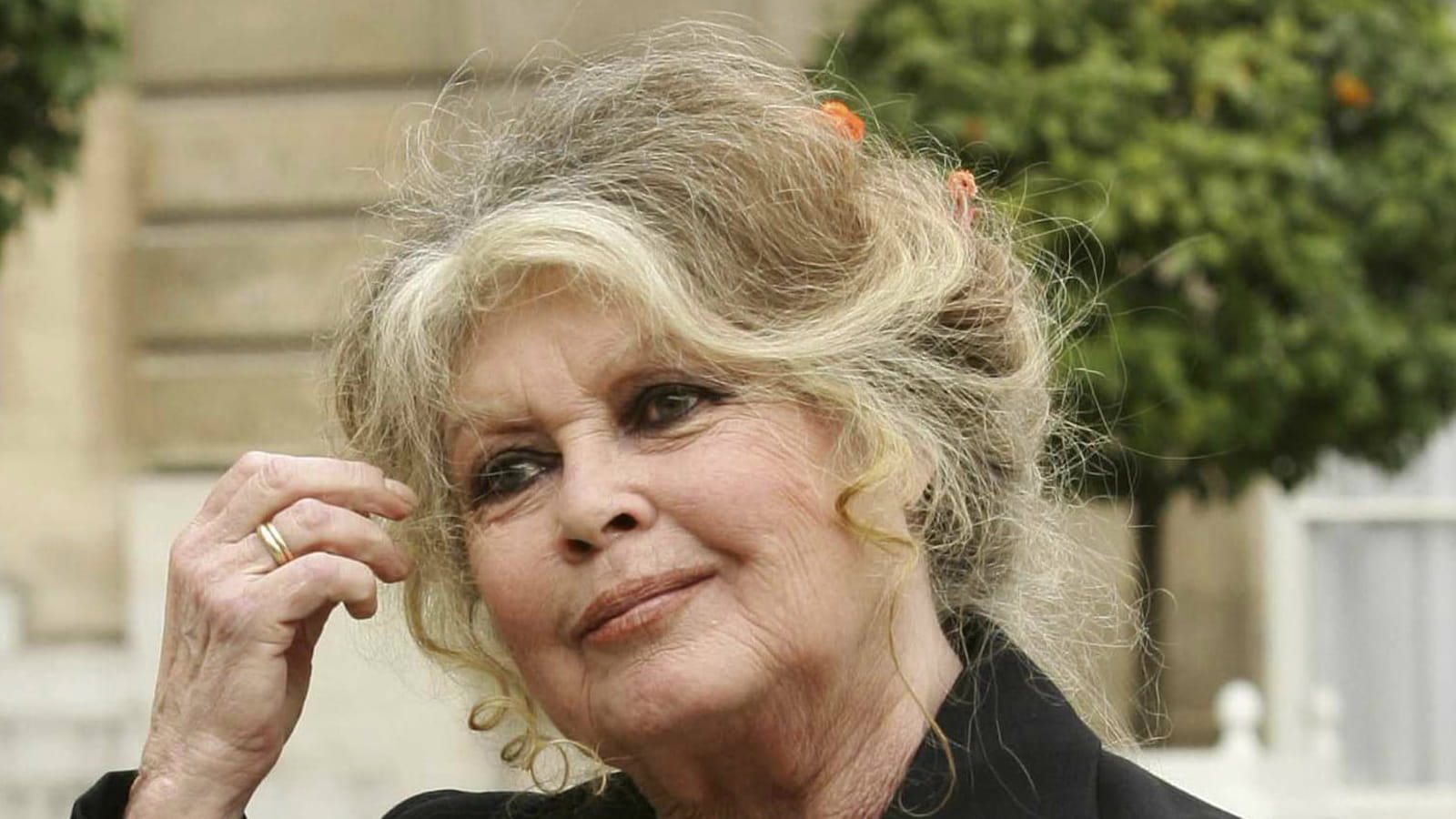 Brigitte Bardot