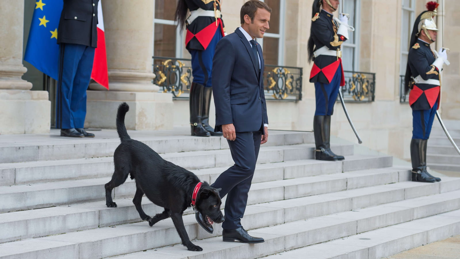 Présentations officielles pour Nemo 