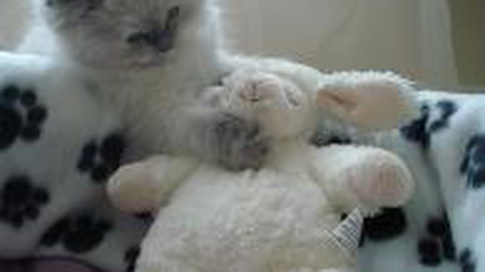 Petit câlin
