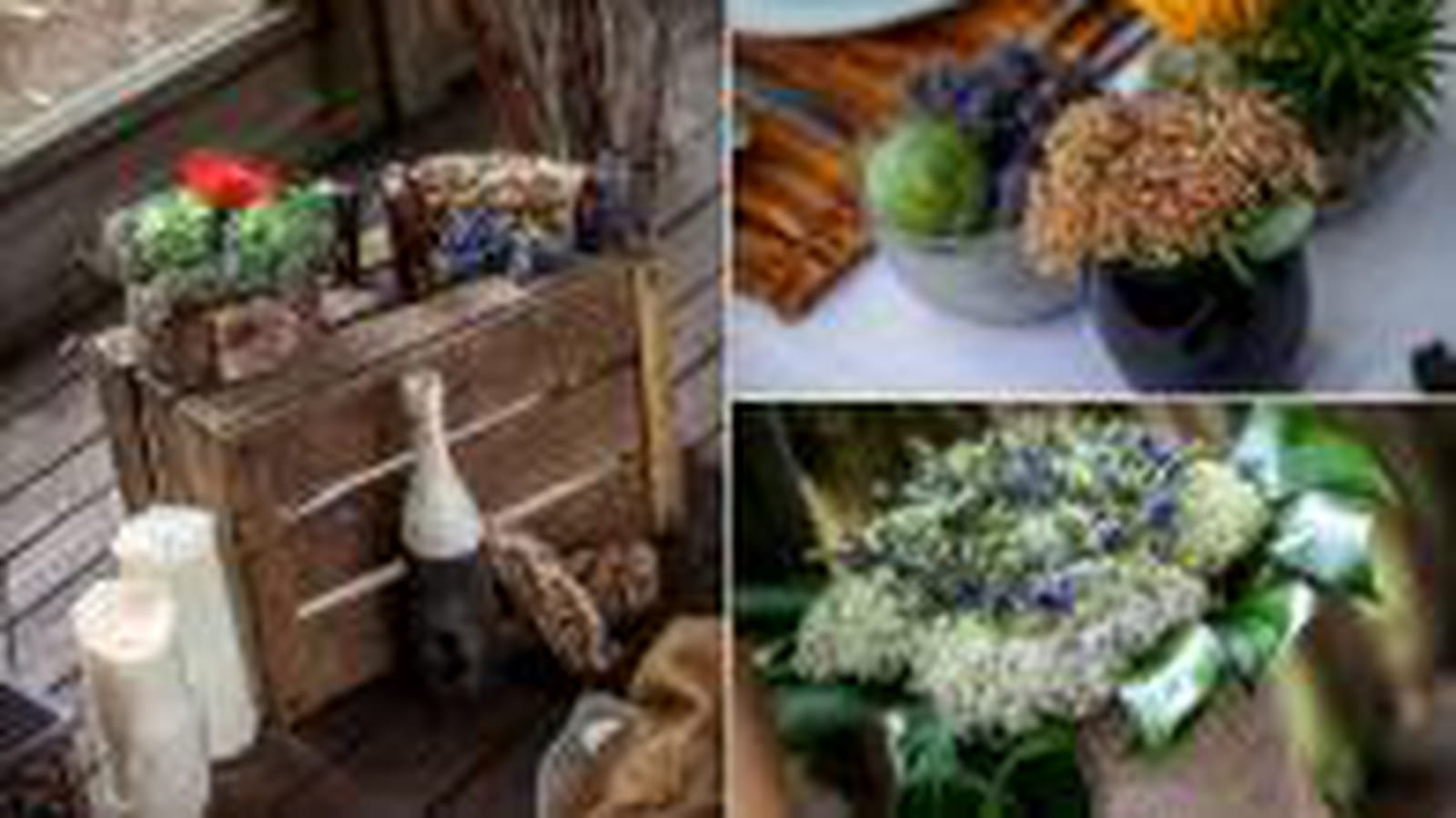 Des fleurs en pots