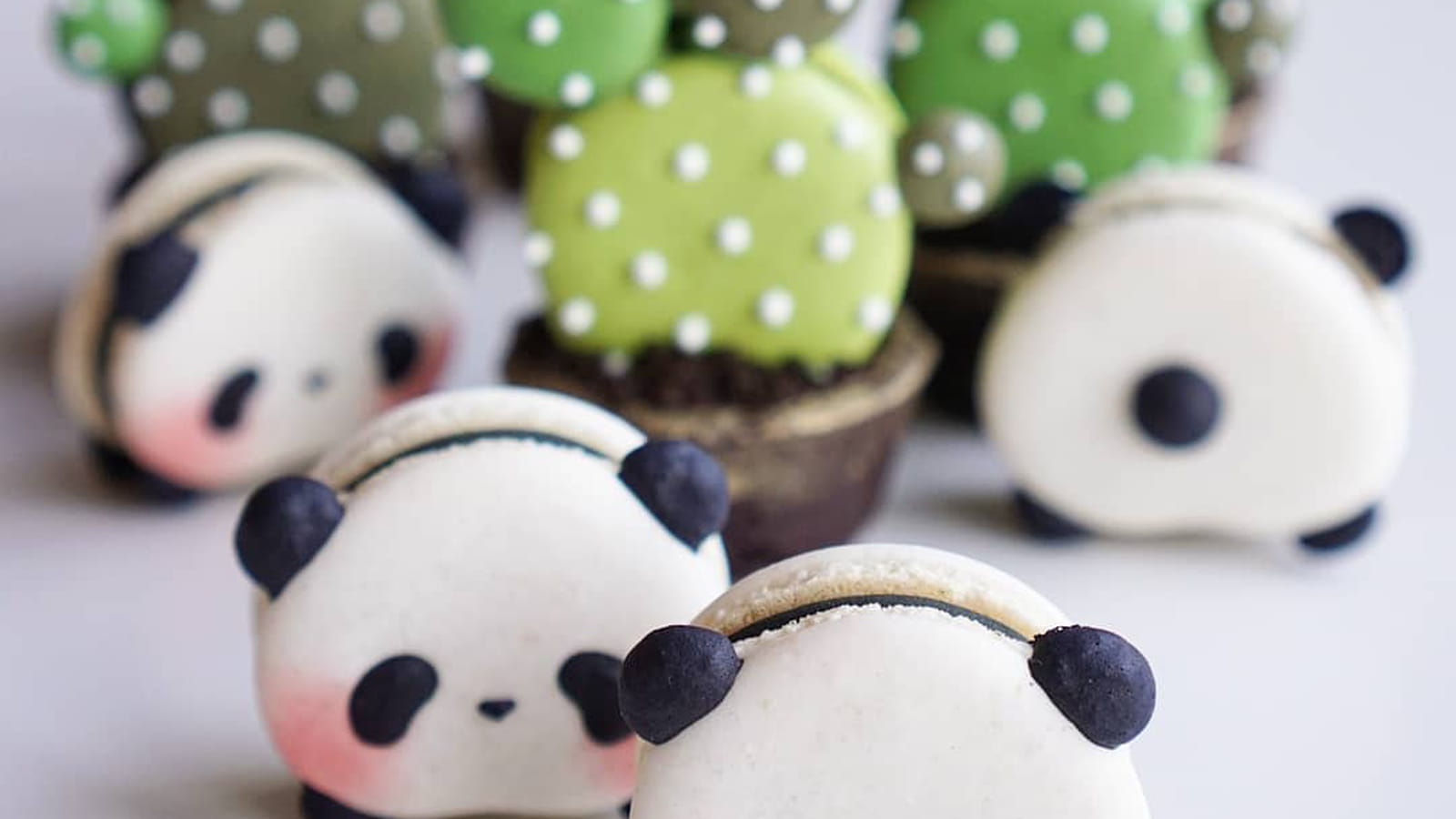 Petits pandas