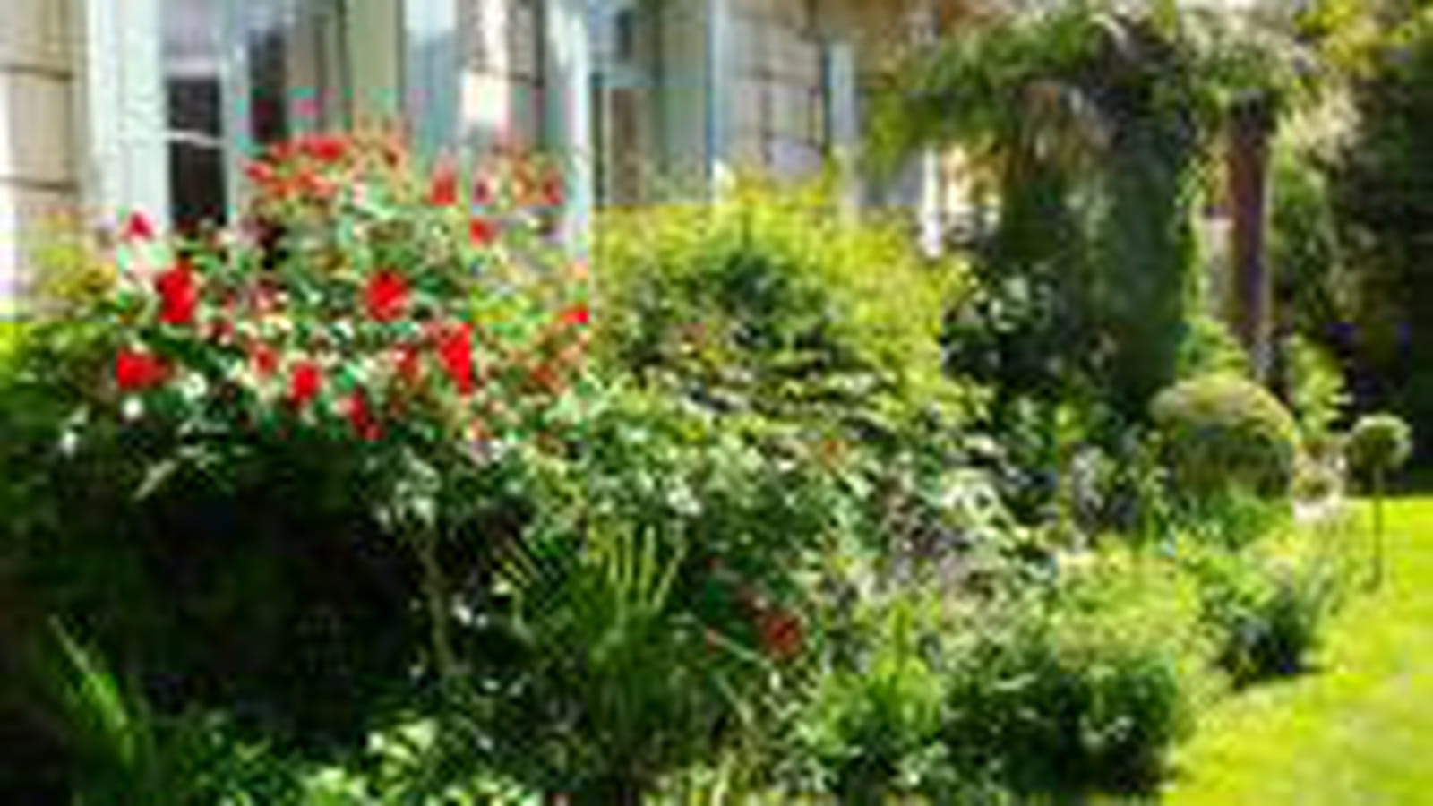 Jardin