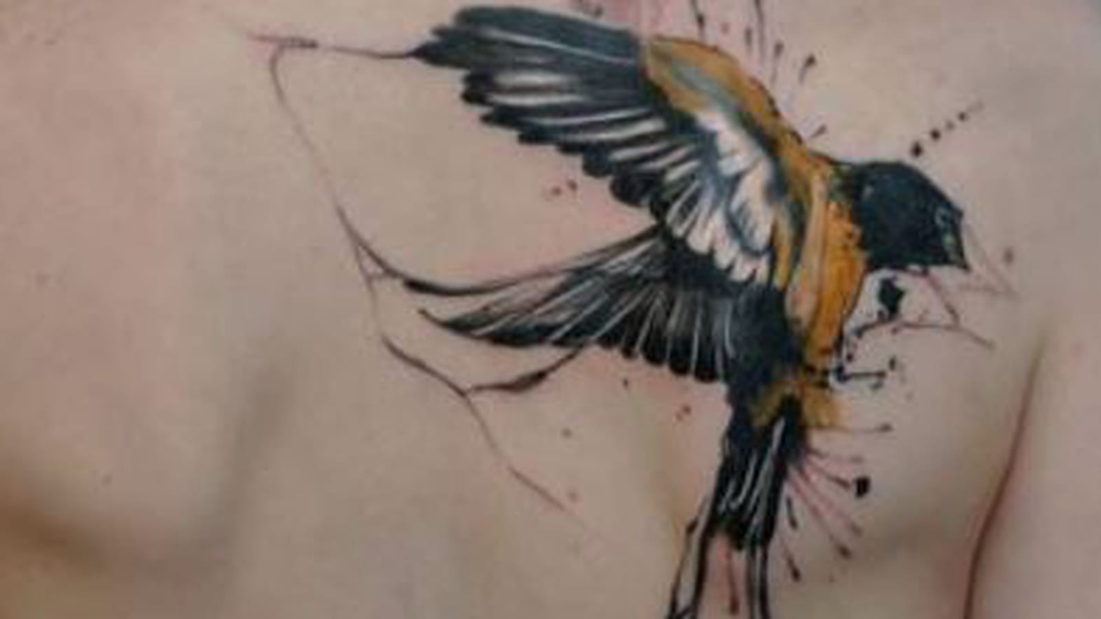 Oiseau terrifiant dans le dos