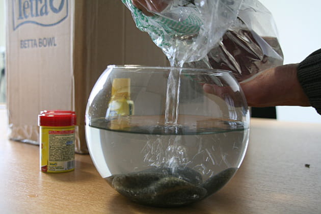 Un bocal qui contient peu d'eau