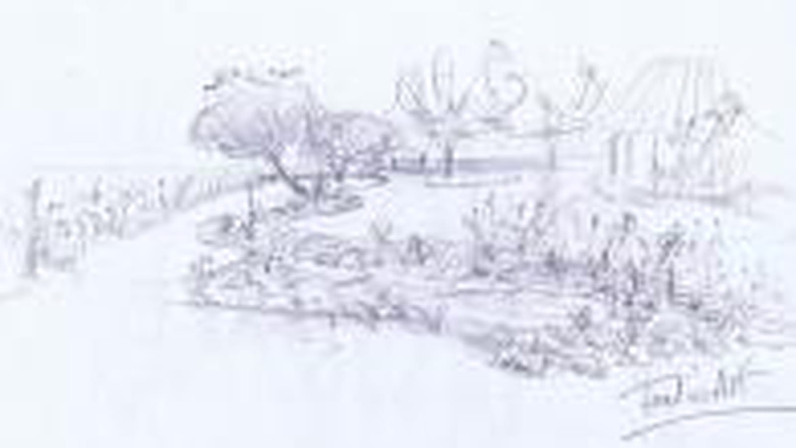 Le croquis