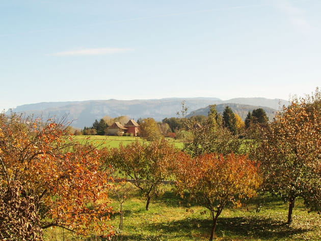Des couleurs chatoyantes dans la campagne