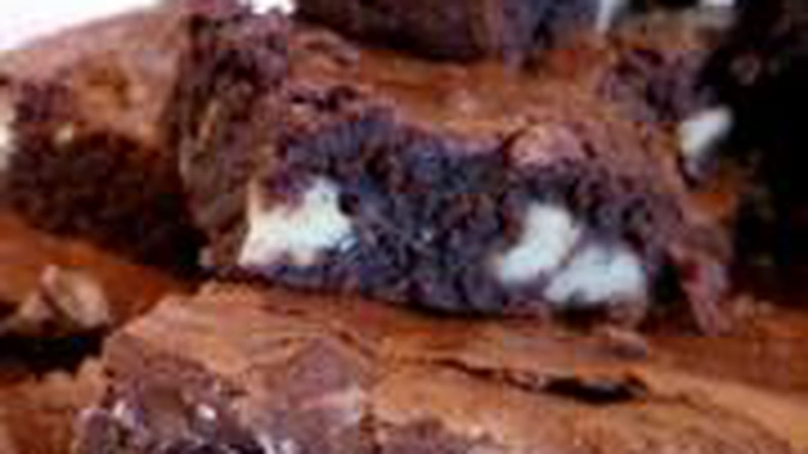 Brownie
