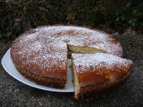 Gâteau au fromage blanc moelleux et rapide