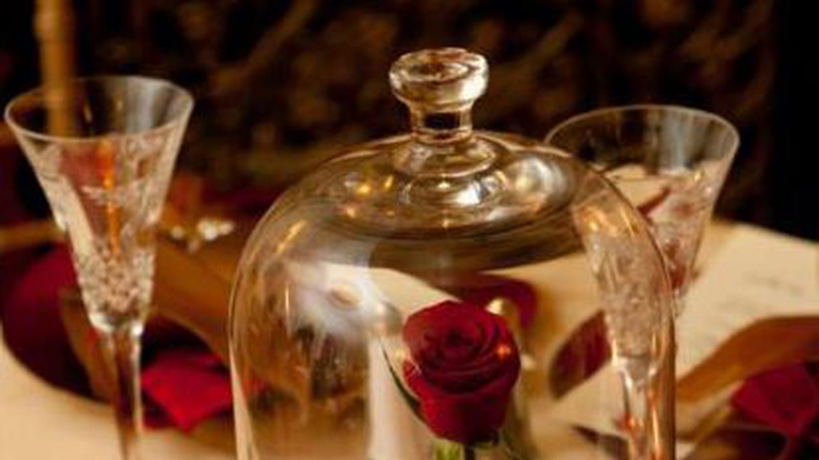 Rose sous cloche