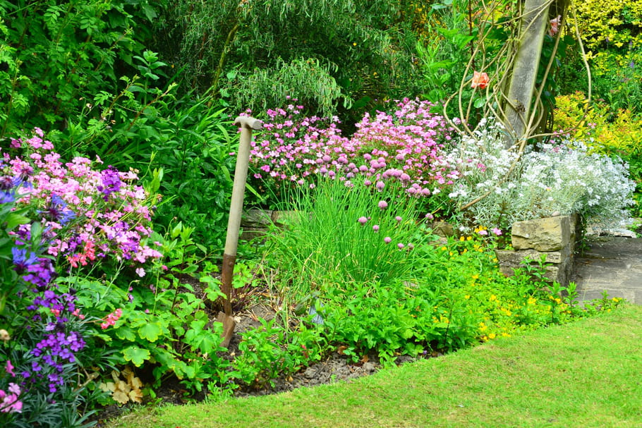 9 plantes pour mixed-border