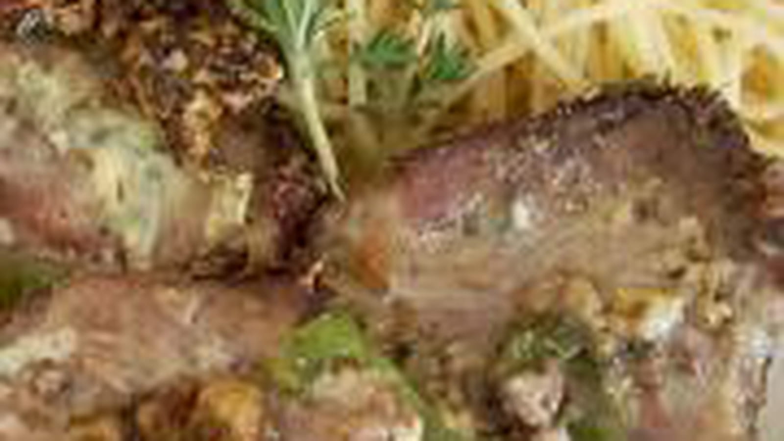 Rôti de porc au poivron et au bleu