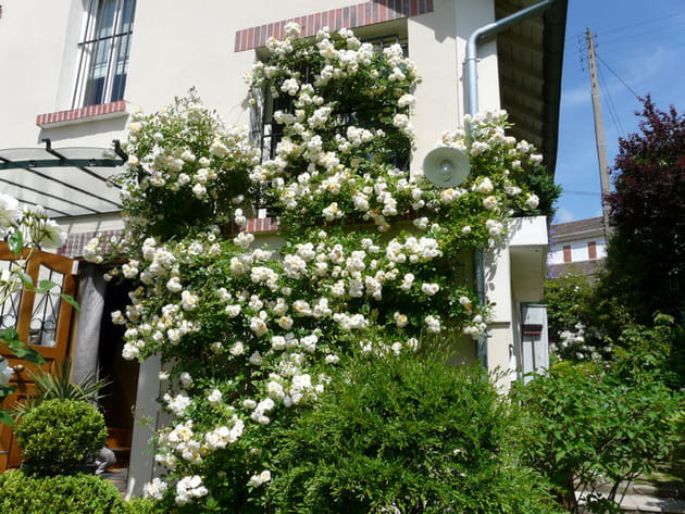 La façade avant de la maison
