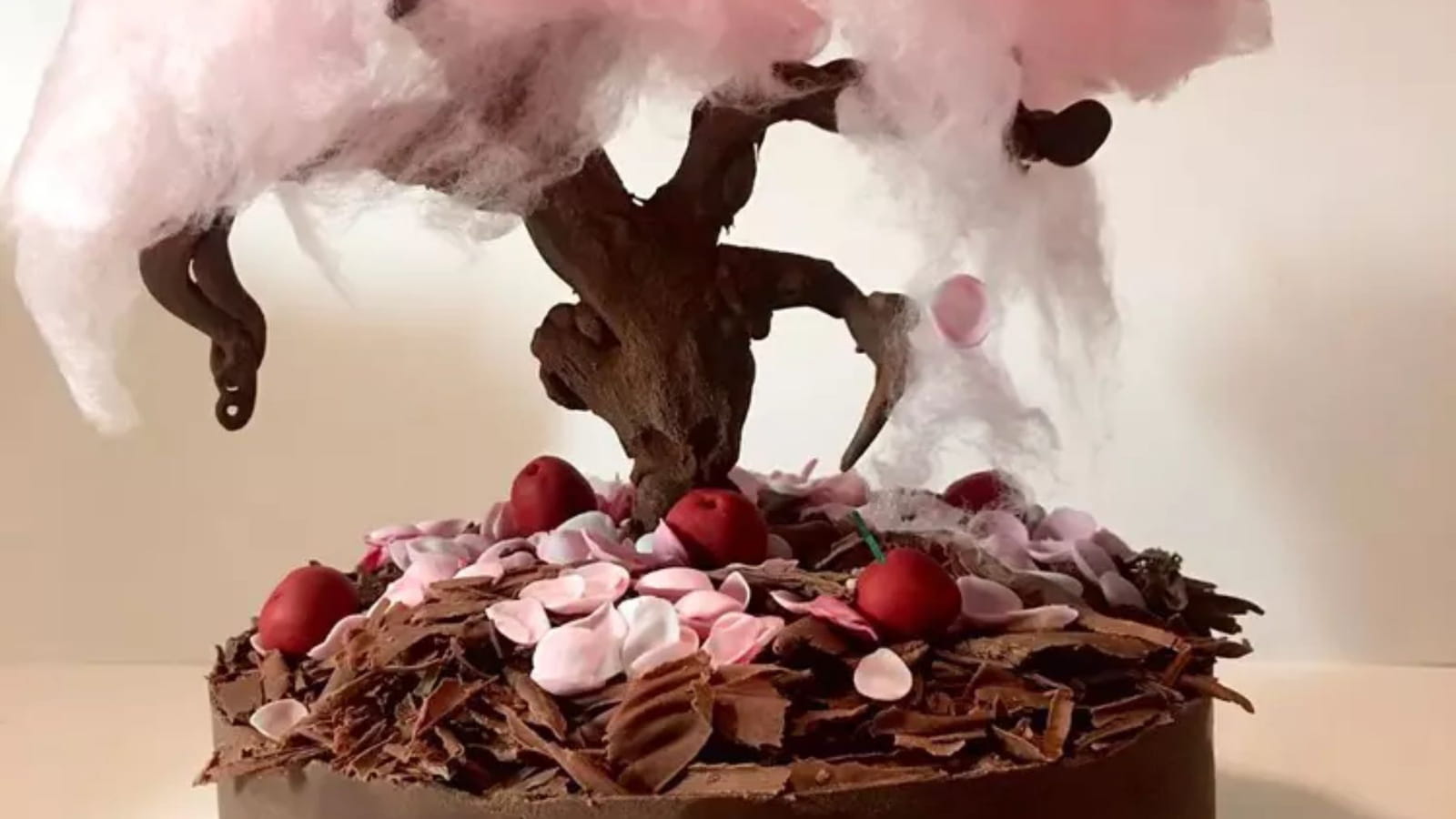 Forêt-noire d'anniversaire