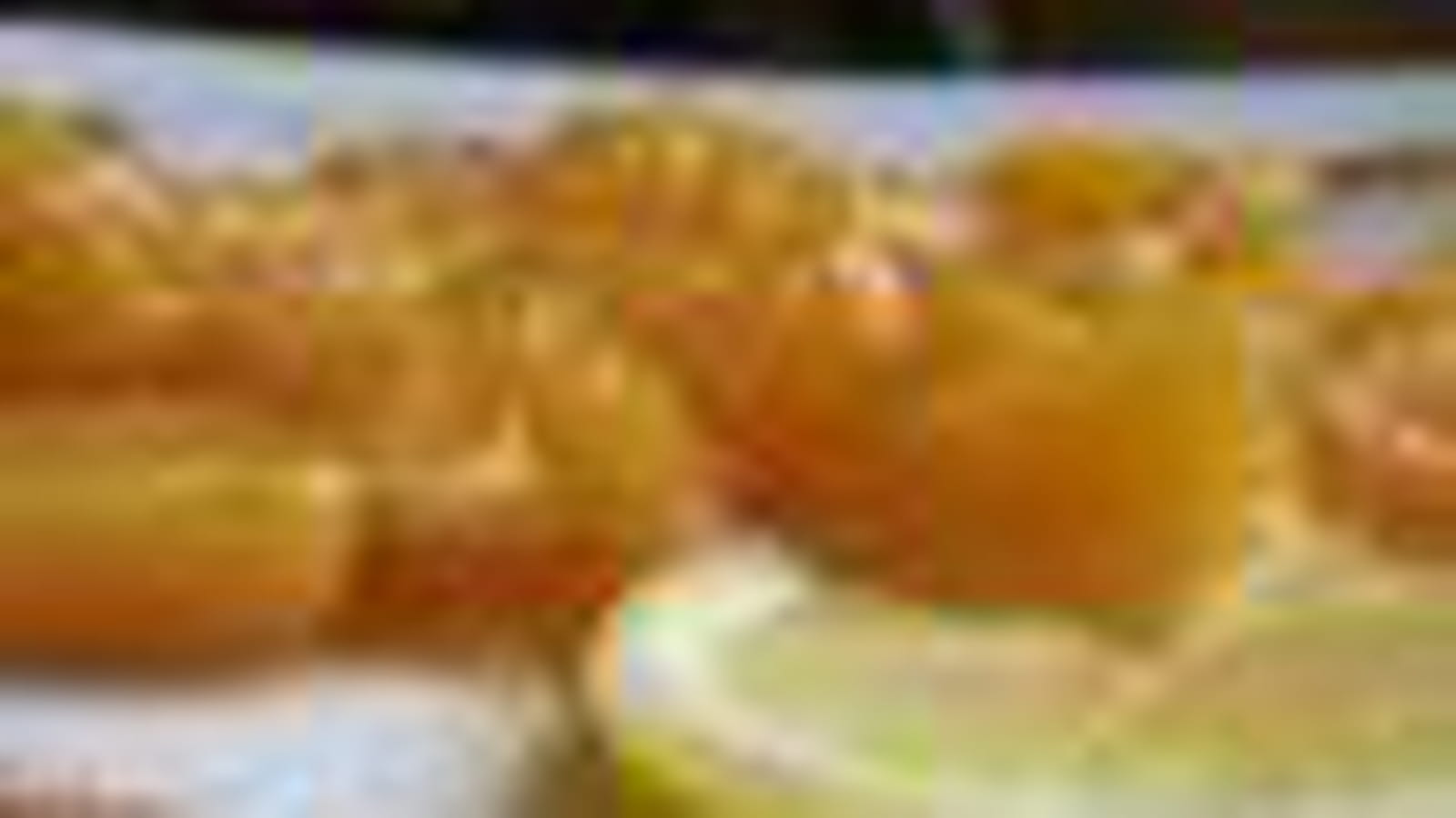 Mangue-citron