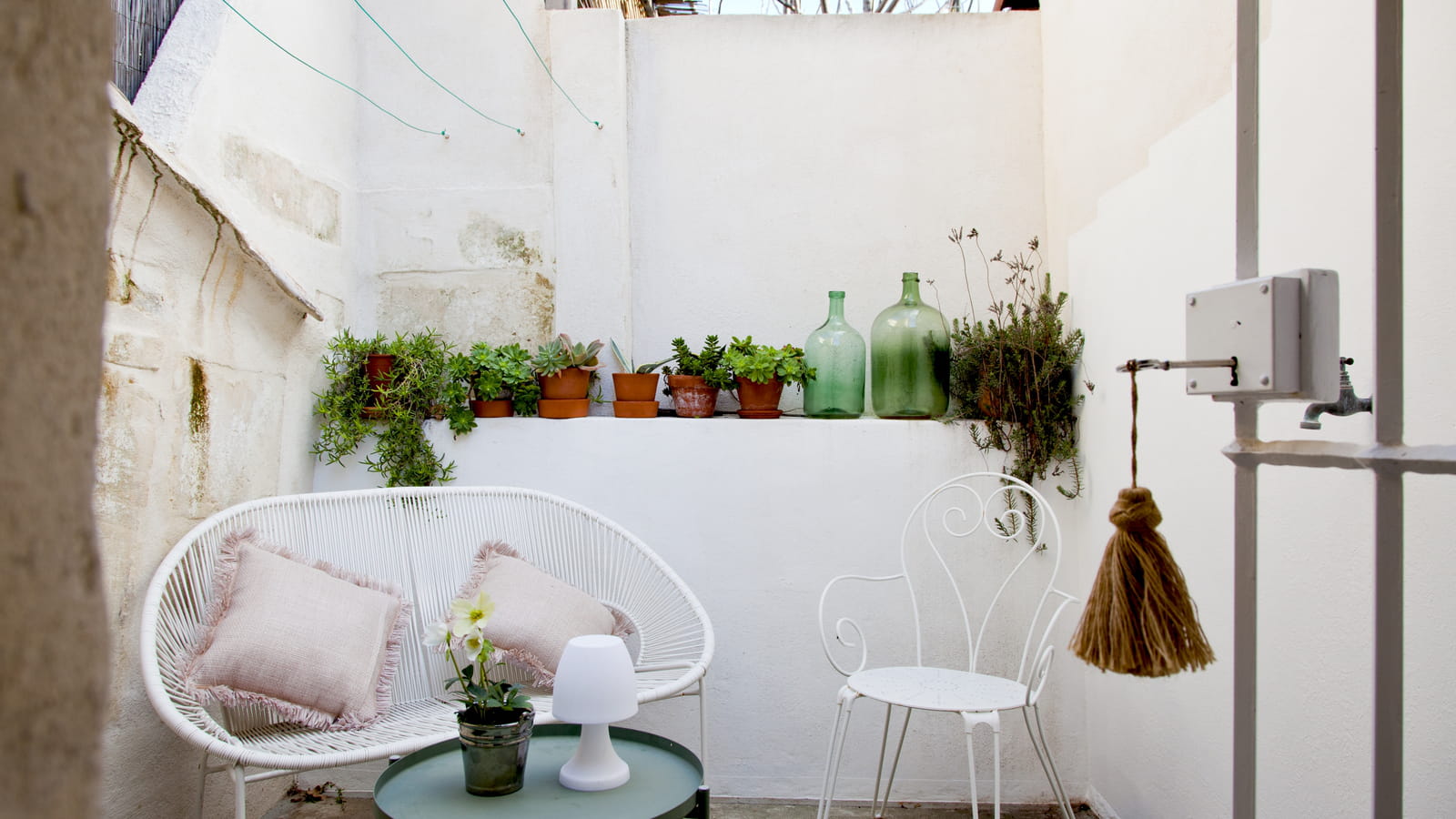 Patio végétalisé