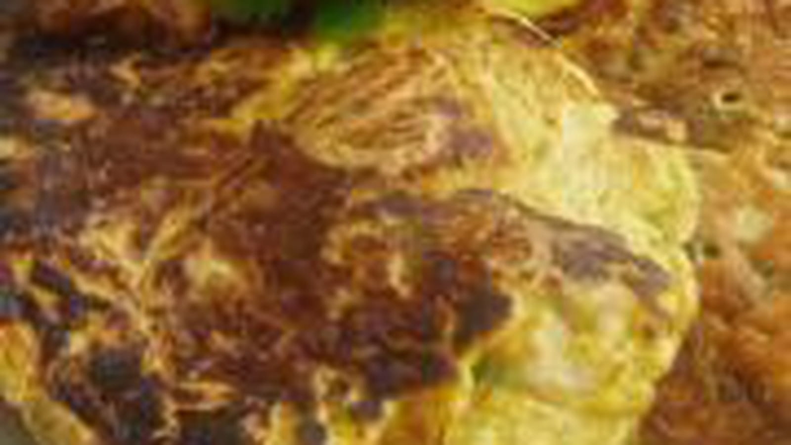 Galettes crevettes carottes