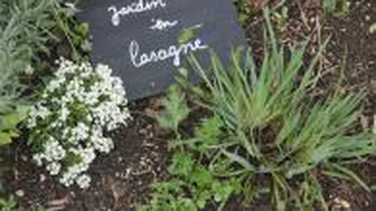 Jardin en lasagnes