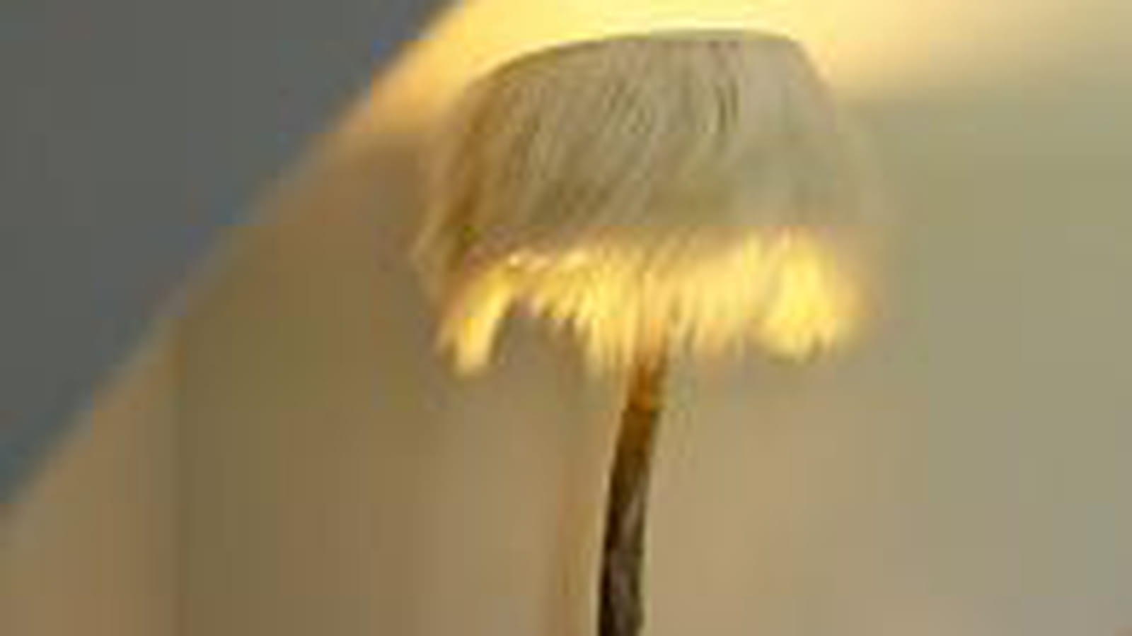 Lampadaire